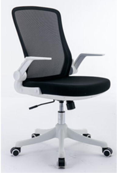 Cruise Ergonomic Office Chair-Black