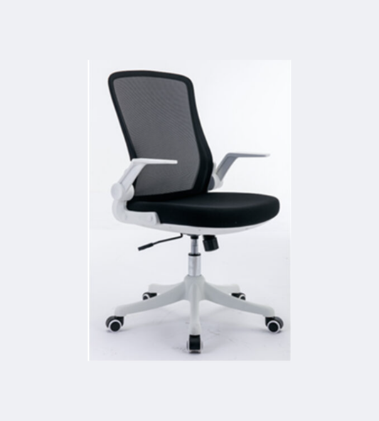 Cruise Ergonomic Office Chair-Black