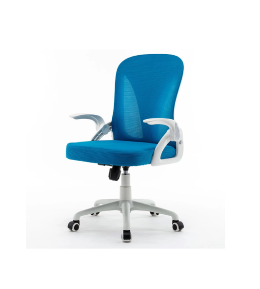 Cruise Ergonomic Office Chair-Blue