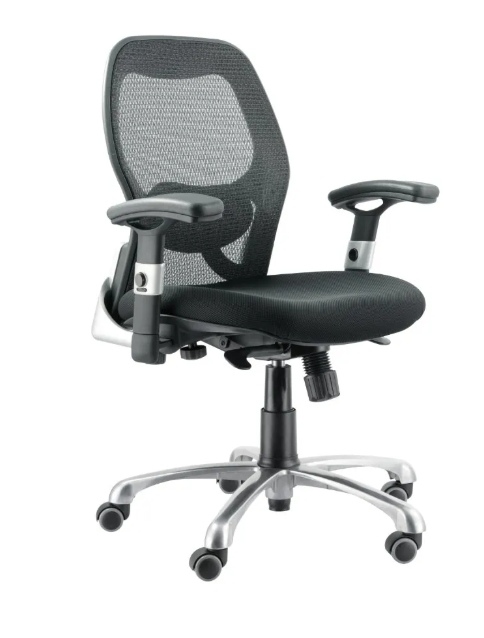 Zanni Ergonomic Office Chair-Black