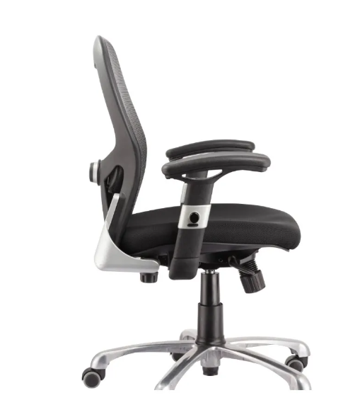 Zanni Ergonomic Office Chair-Black