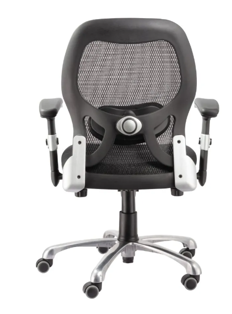 Zanni Ergonomic Office Chair-Black